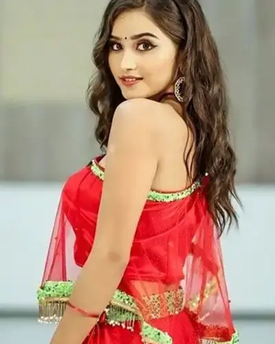Escort In Ratangarh